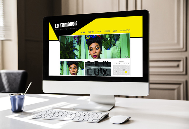 Le Tamanoir, refonte du site web